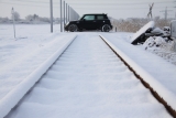 Winter Mini