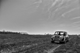 Classic Mini - Born 1991