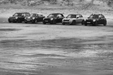 Minis On The Beach