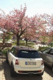 R56