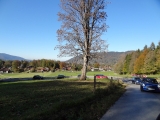 MINI Ausfahrt 23.10.2011