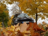 Herbstimpressionen