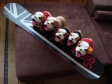 Familienzuwachs :) - 1