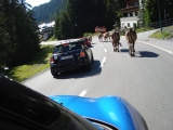 Südtirol Tour 08/11