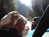 Südtirol Tour 08/11