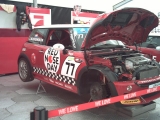 rednosedaymini