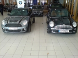 Unsere Neuen...