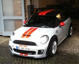 Silver White Metallic Black Viper Stripes Rot