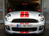 Silver White Metallic Black Viper Stripes Rot