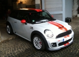 Silver White Metallic Black Viper Stripes Rot