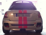 Silver White Metallic Black Viper Stripes Rot