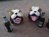 Deutsche Bulldoggen In Florida