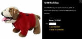 Mini Bulldog