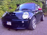 Oz Mini
