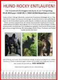 Wir Suchen Rocky!