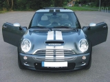Viper Stripes