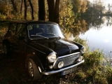 MINI Classic genießt die Herbstidylle
