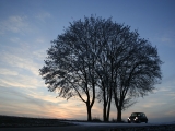 Kleiner Mini In Winterlicher Landschaft