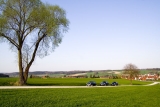 3 Mini's Im Naturpark Augsburg
