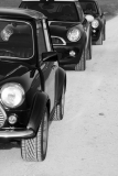 3 Mini's Im Naturpark Augsburg
