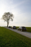 3 Mini's Im Naturpark Augsburg