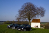 3 Mini's Im Naturpark Augsburg