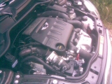 Motor Diesel