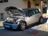 Schubbern Beim Flo