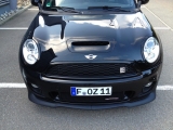 Not Normal Grill Badge