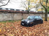Herbst Shooting