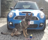 Mein Wachhund ;)