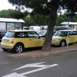 Mini One liquid yellow