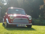 Sp Vi