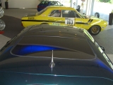 Mini Cooper Grün