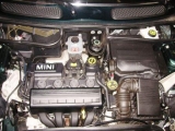 Mini Cooper Grün