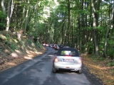 Img 0096