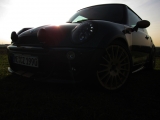Shoot Auf Dem Feld02