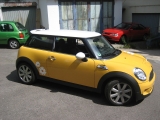 Mini-individual Blümchen01
