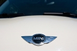 Mini Badge