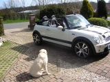 Mini 11