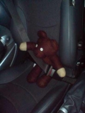Teddy