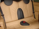 Mini Hinten