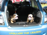 Let's Mini 2008