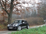 Doglo's Mini Im Herbst