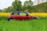 Mein Mini
