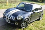 Moppel 2