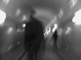Ganter in der Matrix