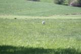 Jagst Kocher Tour 2012
