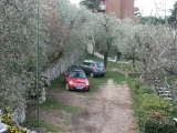 Garda