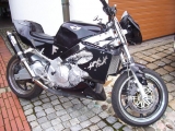 Honda Cbr 600 "mini"-streetfighter